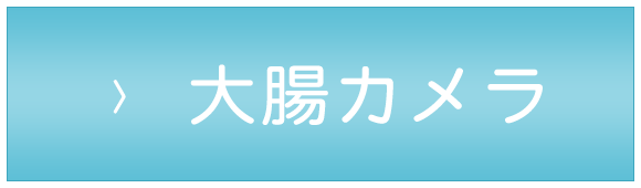 大腸カメラ,草津市東草津,内科,消化器内科,肝臓内科,整形外科