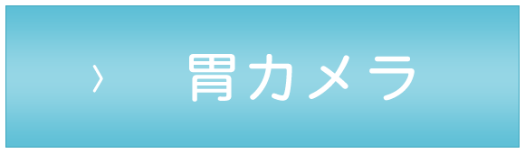 胃カメラ,草津市東草津,内科,消化器内科,肝臓内科,整形外科